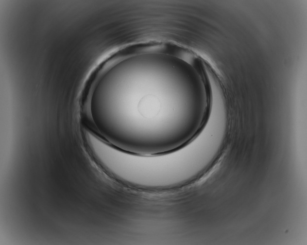 X0000088191118200705221657