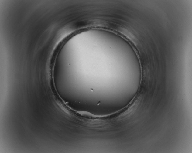 X0000088191119200705221657