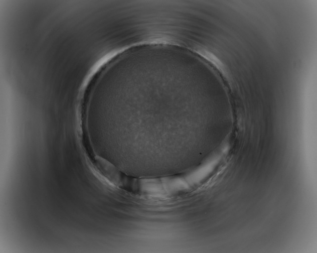 X0000088191120200705221657