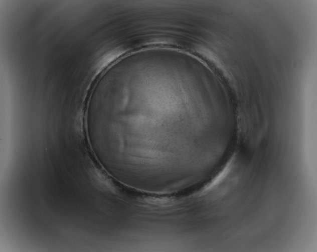 X0000088191121200705221657