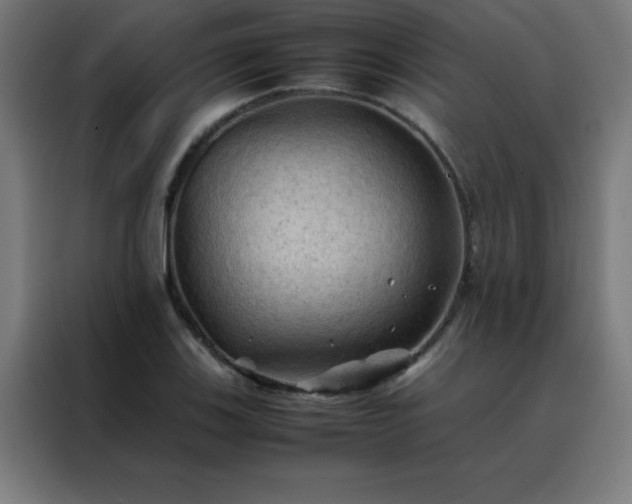X0000088191123200705221657