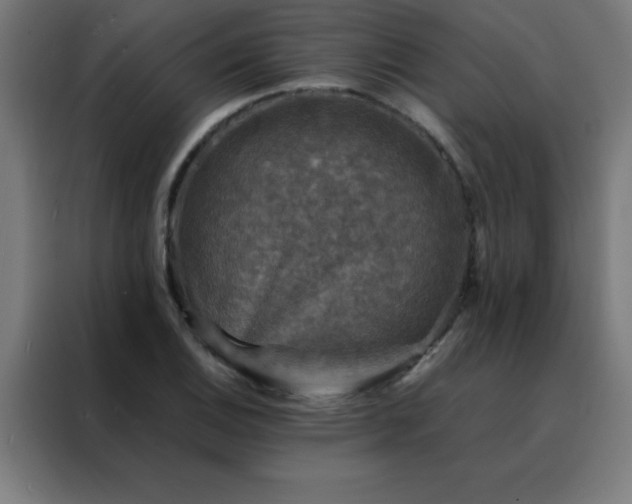 X0000088191124200705221657