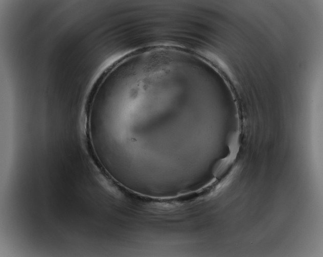 X0000088191125200705221657