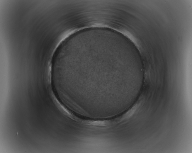 X0000088191126200705221657