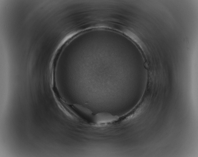 X0000088191127200705221657