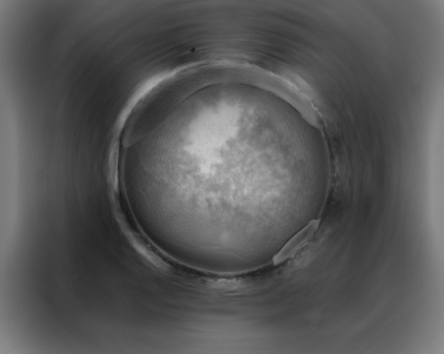 X0000088191128200705221657