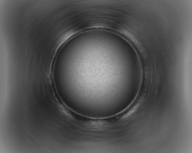 X0000088191129200705221657