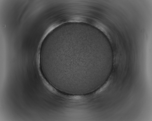 X0000088191130200705221657