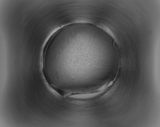 X0000088191132200705221657