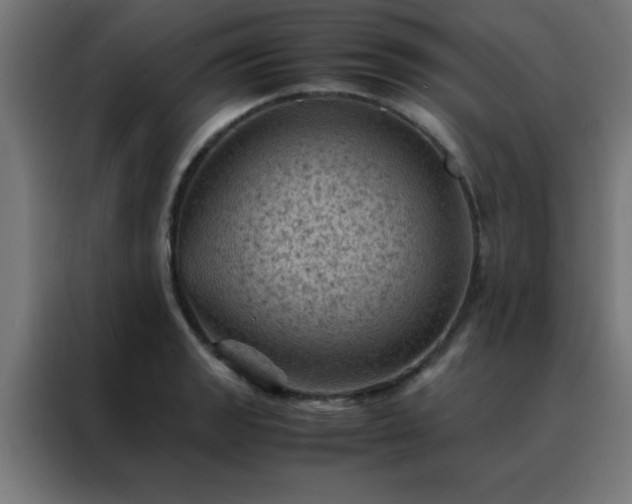 X0000088191133200705221657