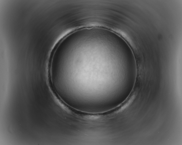 X0000088191134200705221657