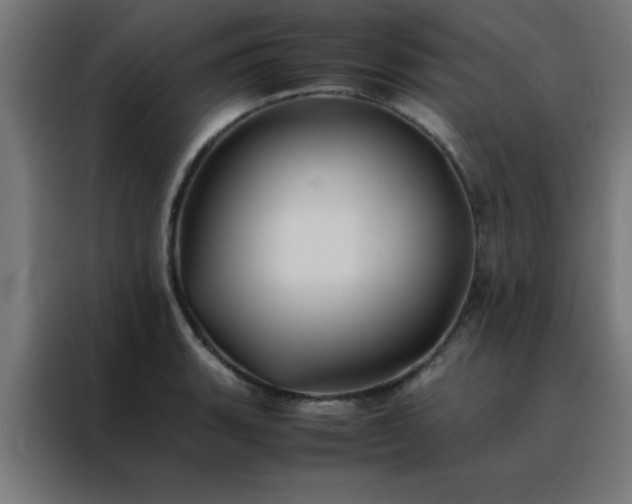 X0000088191135200705221657