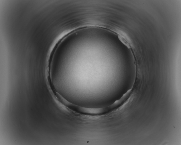 X0000088191136200705221657