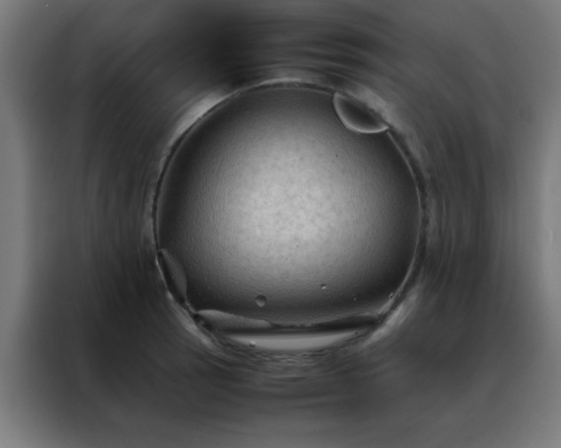 X0000088191137200705221657