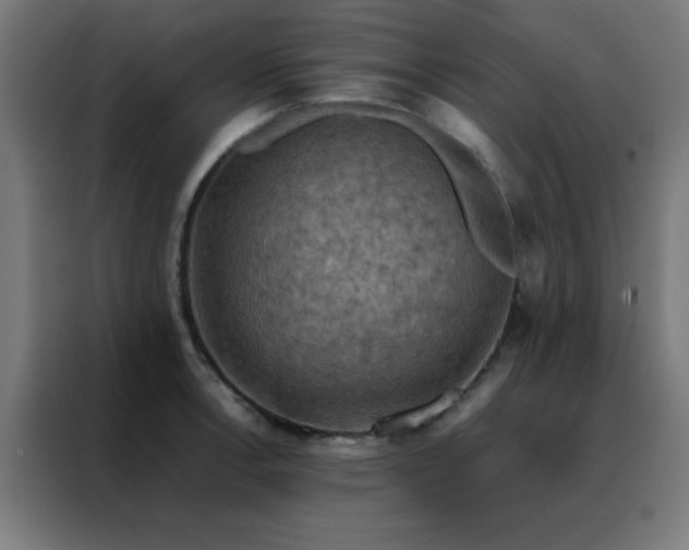 X0000088191138200705221657