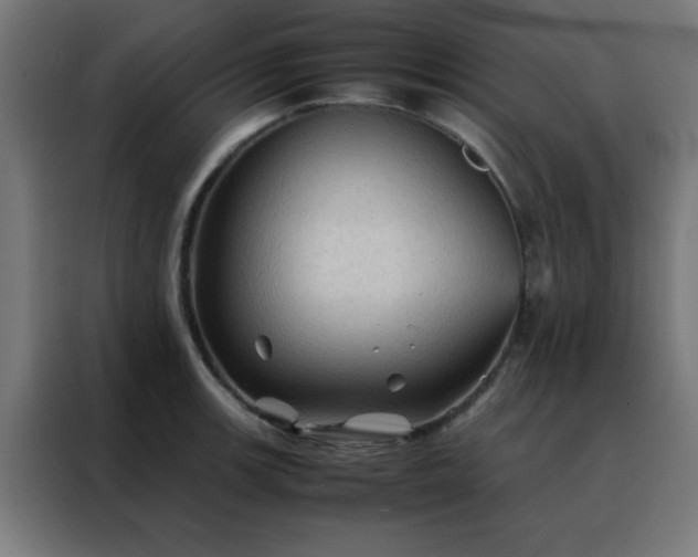 X0000088191139200705221657