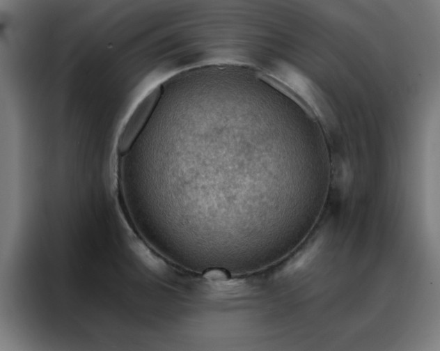 X0000088191140200705221657