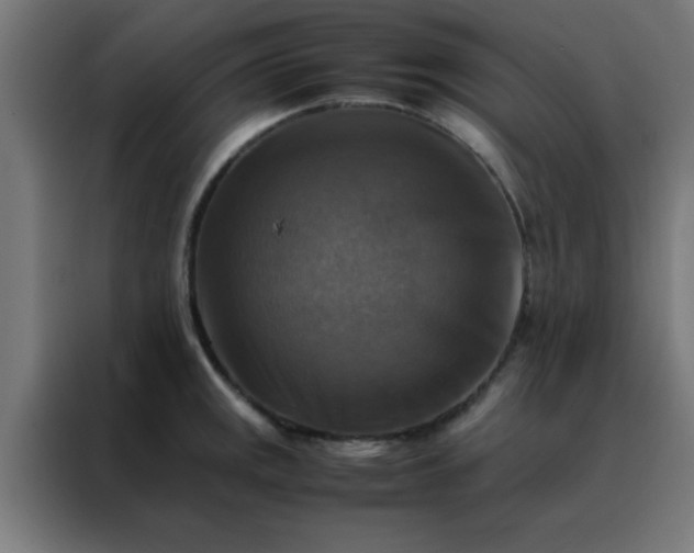 X0000088191141200705221657