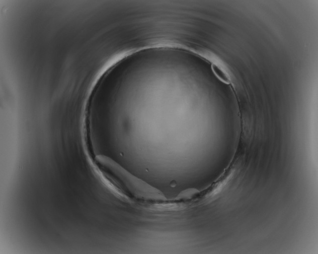 X0000088191142200705221657