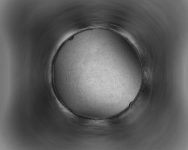 X0000088191143200705221657