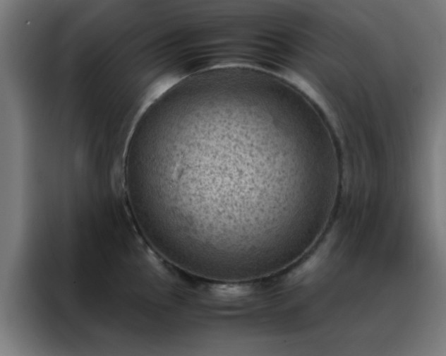 X0000088191145200705221657