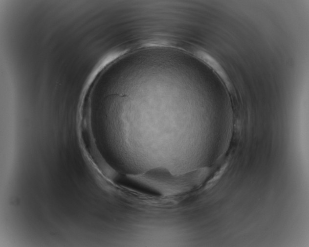 X0000088191146200705221657