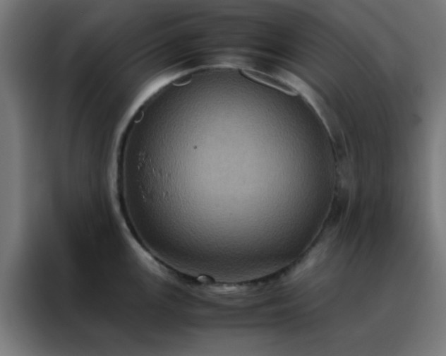 X0000088191147200705221657