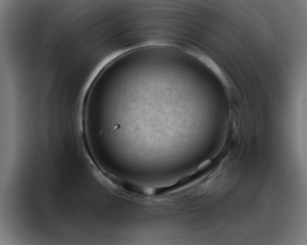 X0000088191148200705221657