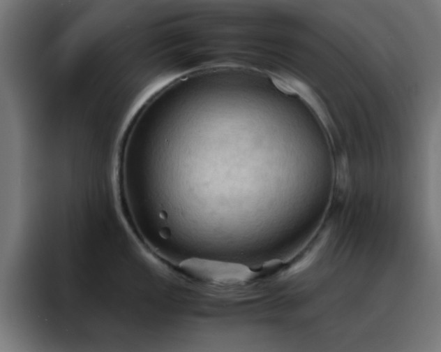X0000088191149200705221657