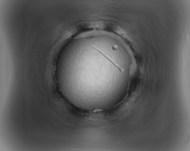 X0000088191153200705221656