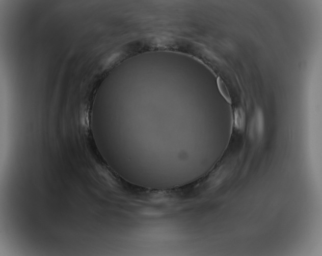 X0000088191155200705221656
