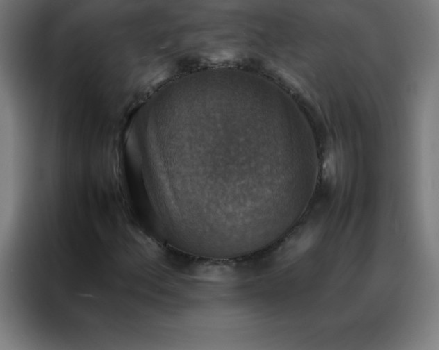 X0000088191156200705221656
