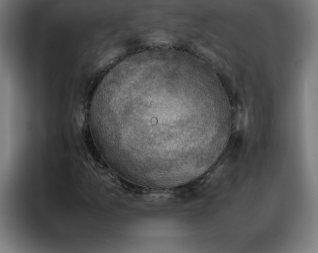 X0000088191157200705221656