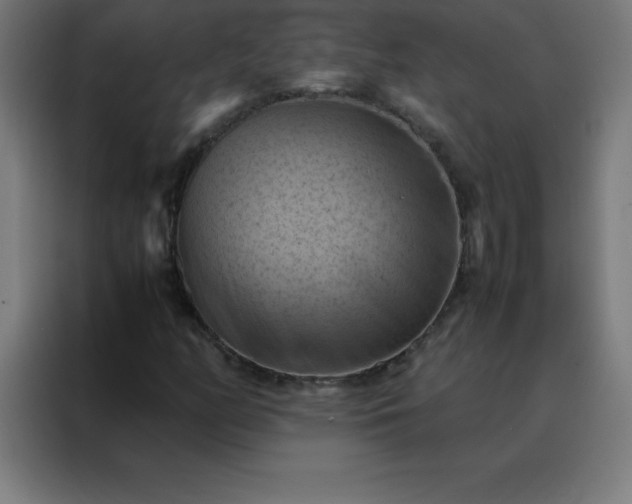 X0000088191158200705221656