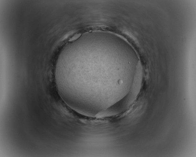 X0000088191159200705221656