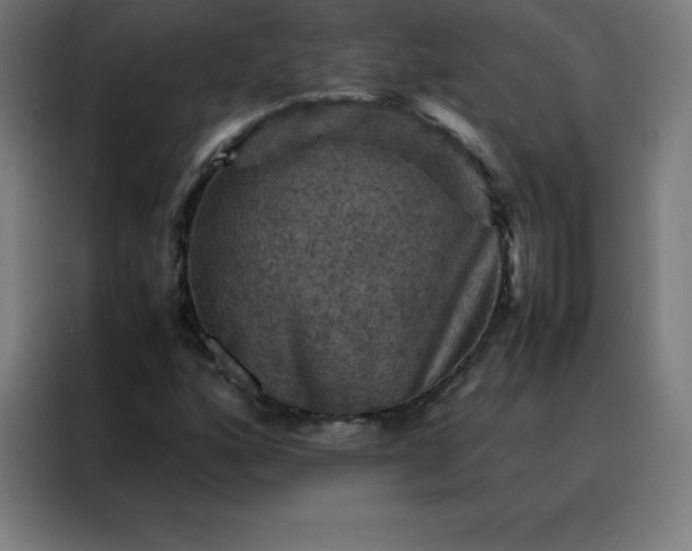 X0000088191160200705221656