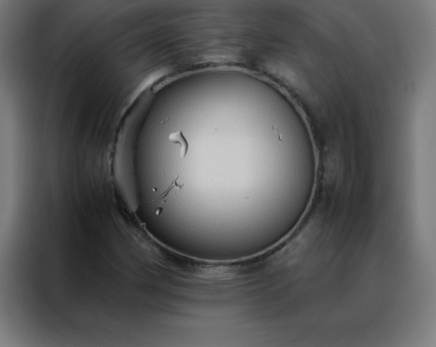X0000088191162200705221656