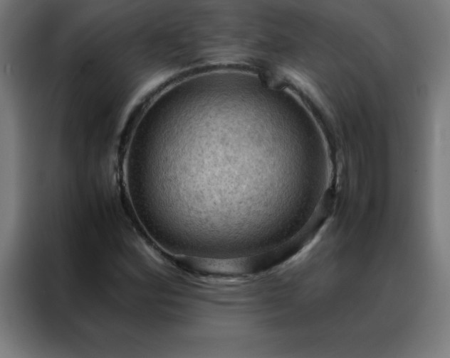 X0000088191164200705221656