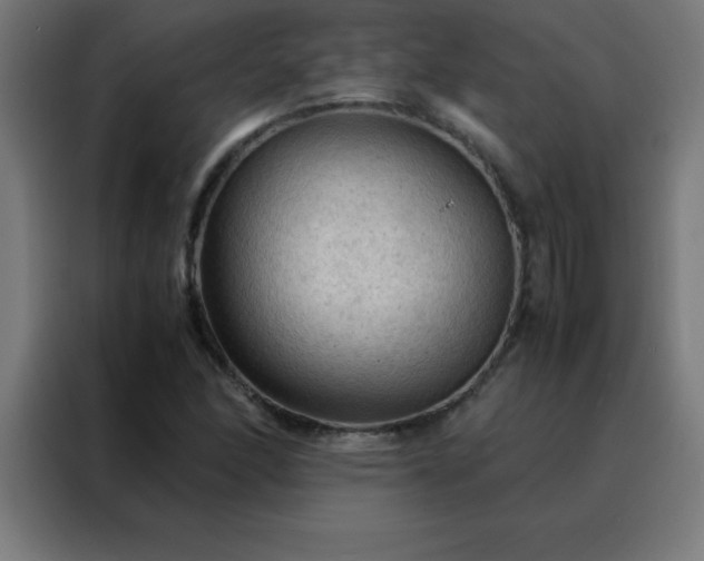 X0000088191166200705221656