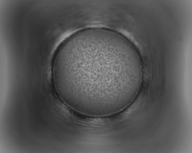 X0000088191167200705221656