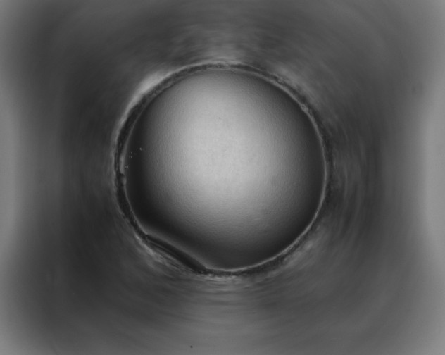 X0000088191168200705221656