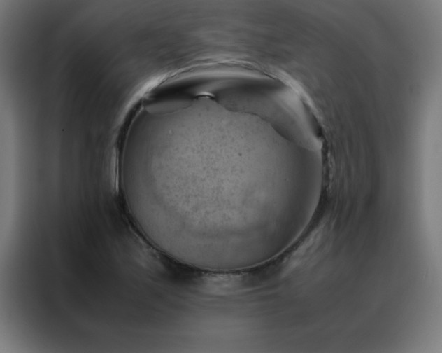 X0000088191171200705221656