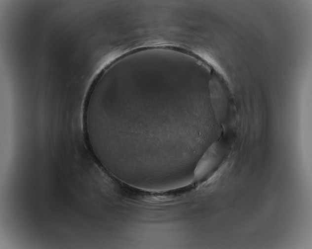 X0000088191173200705221656