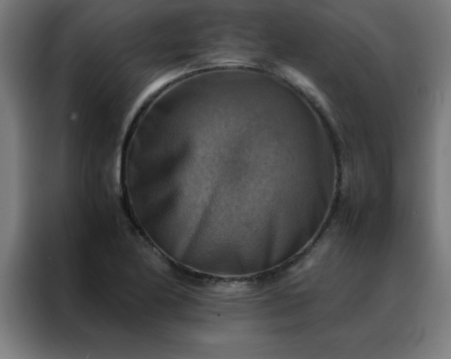 X0000088191174200705221656