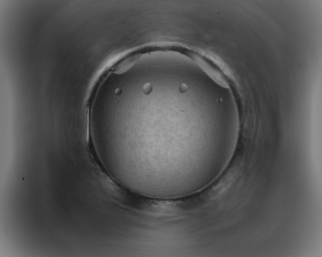 X0000088191175200705221656