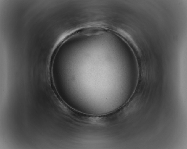 X0000088191176200705221656
