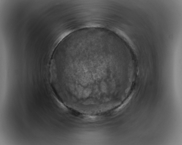 X0000088191177200705221656