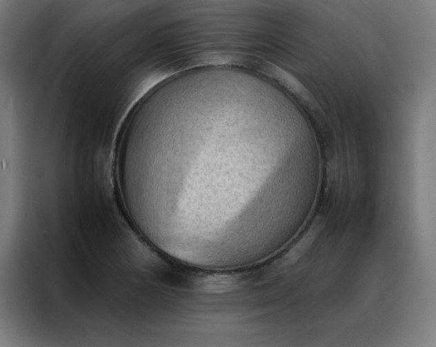 X0000088191178200705221656
