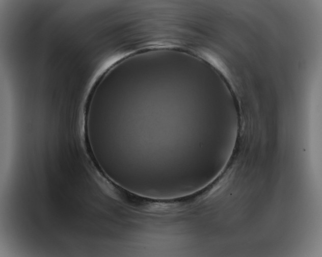 X0000088191179200705221656