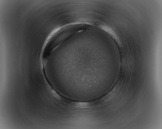 X0000088191180200705221656